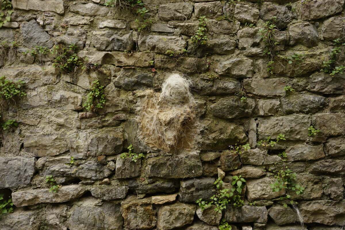 Semiostalgia P0009 — Sculpture fraîche, Saint-Antonin-Noble-Val
