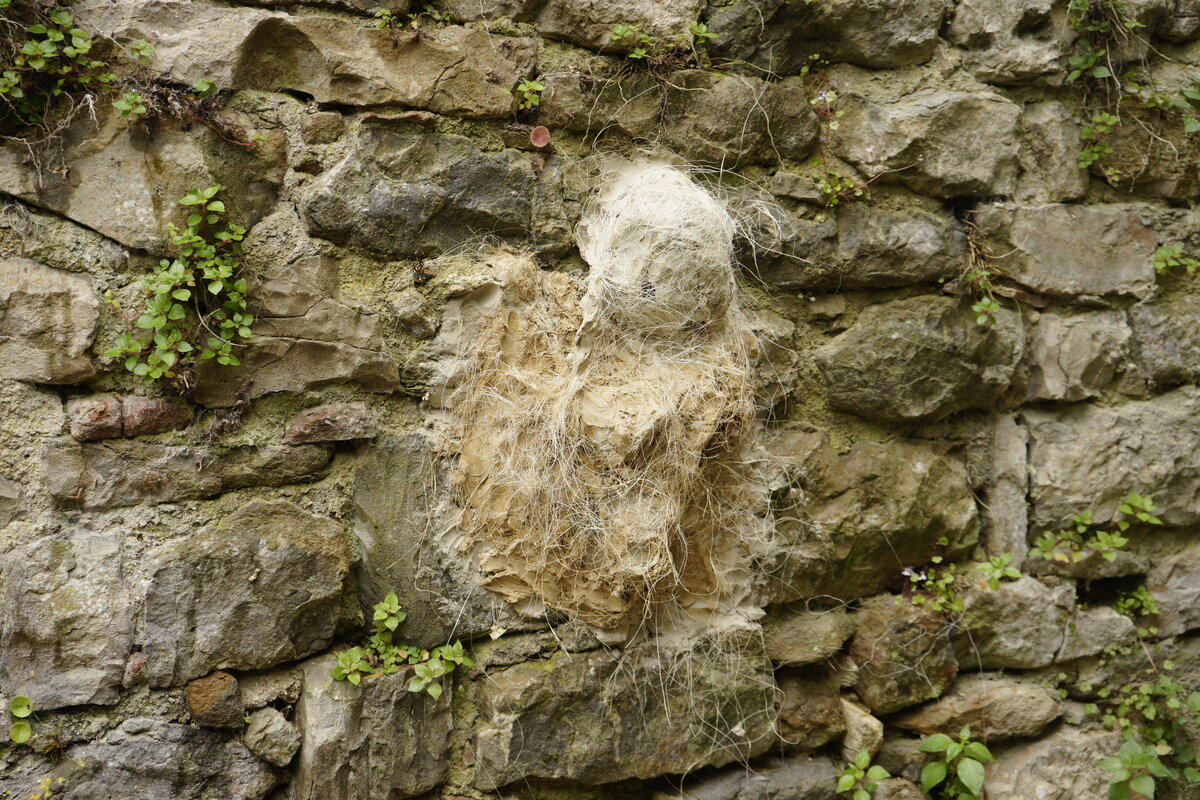 Semiostalgia P0009 — Sculpture en cours, modelage direct à mains nues, Saint-Antonin-Noble-Val