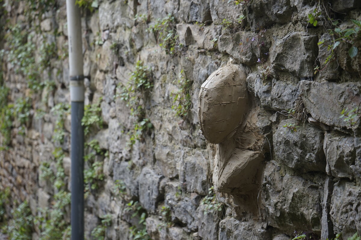Semiostalgia P0009 — Sculpture fraîche, Saint-Antonin-Noble-Val