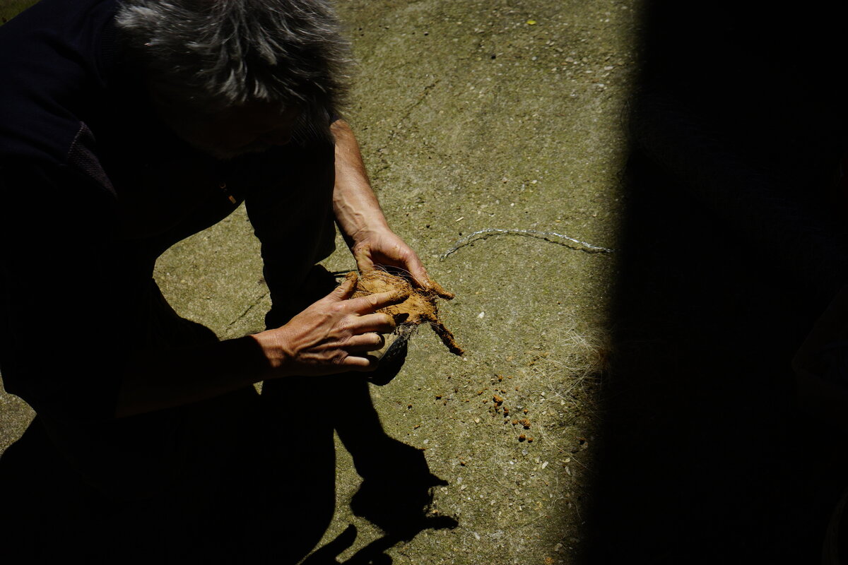 Semiostalgia P0011 — Sculpture en cours, modelage direct sur le mur, Saint-Antonin-Noble-Val