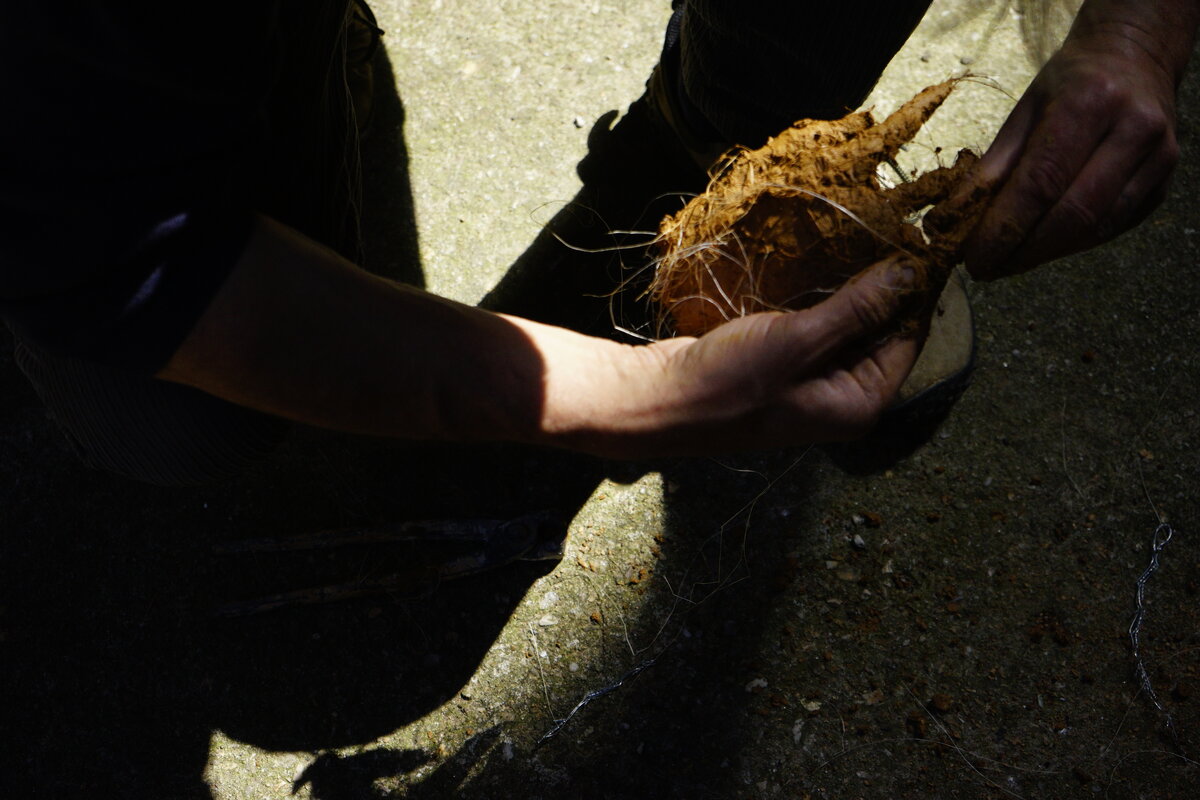 Semiostalgia P0011 — Sculpture fraîche, en terre crue, filasse végétale, grillage à poule, Saint-Antonin-Noble-Val