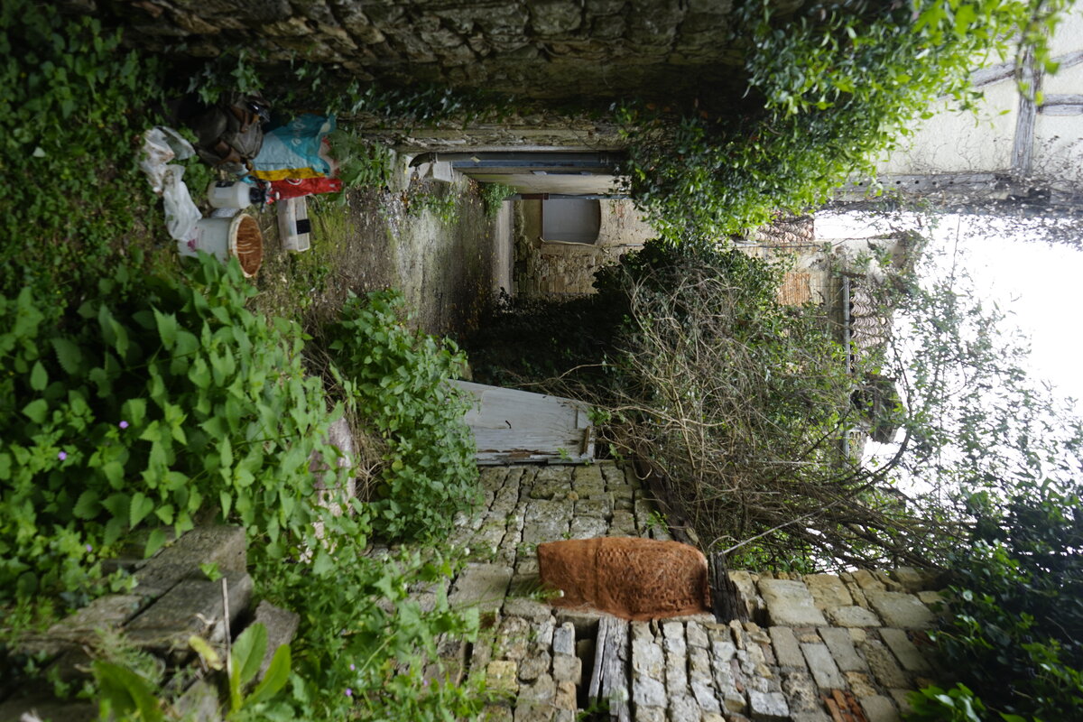 Semiostalgia P0013 — Sculpture fraîche, en terre crue, sable, filasse végétale, paille, grillage à poule, sur mur de pierre calcaire, Saint-Antonin-Noble-Val