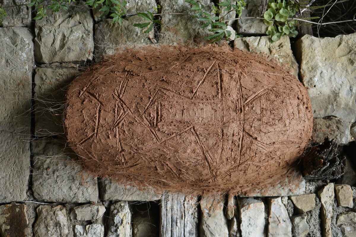Semiostalgia P0013 — Sculpture fraîche, en terre crue, sable, filasse végétale, paille, grillage à poule, sur mur de pierre calcaire, Saint-Antonin-Noble-Val