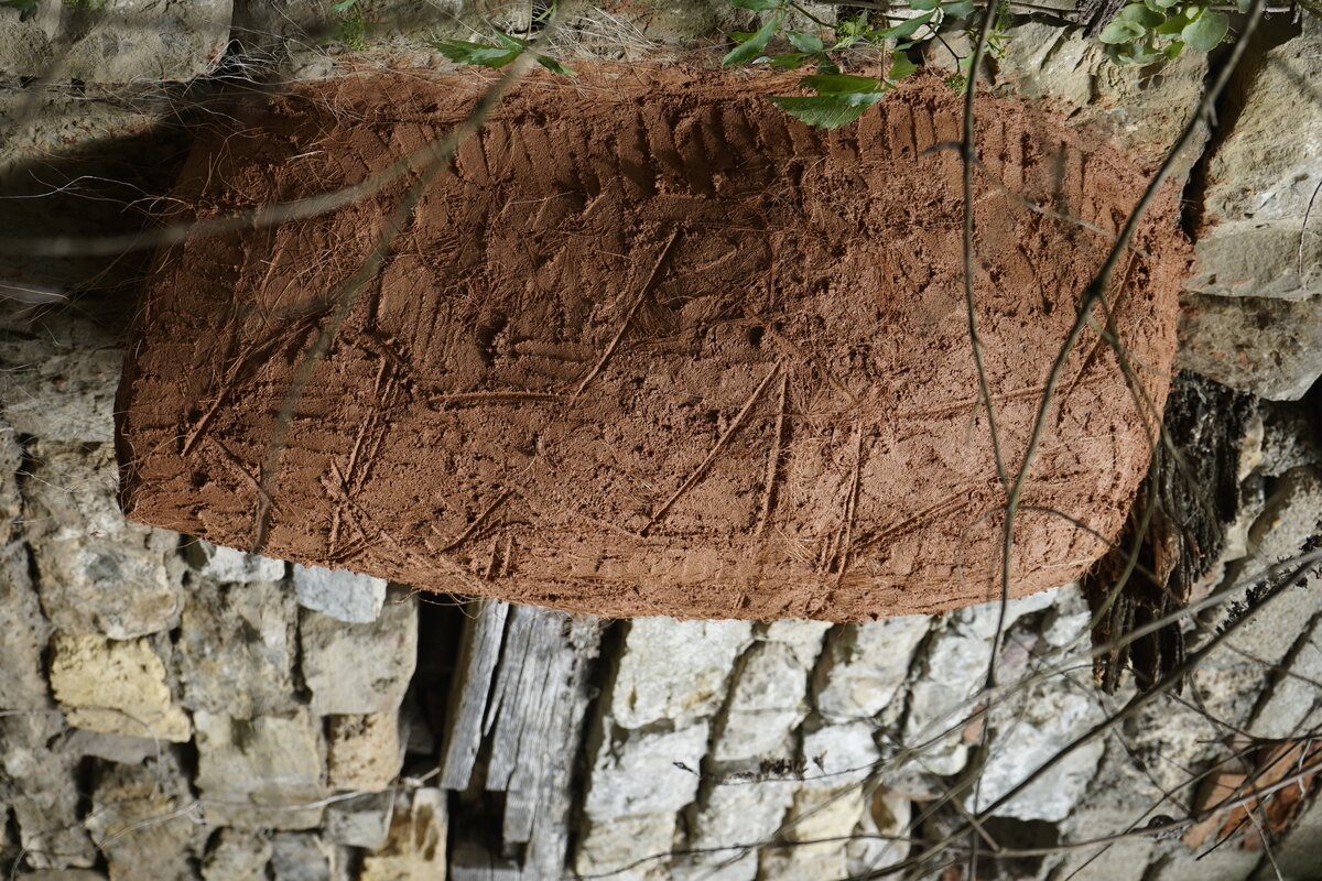 Semiostalgia P0013 — Sculpture fraîche, en terre crue, sable, filasse végétale, paille, grillage à poule, sur mur de pierre calcaire, Saint-Antonin-Noble-Val