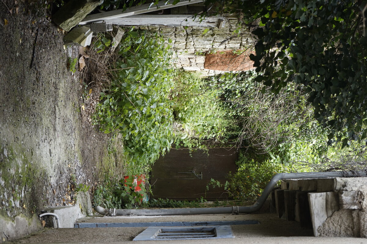Semiostalgia P0013 — Sculpture fraîche, en terre crue, sable, filasse végétale, paille, grillage à poule, sur mur de pierre calcaire, Saint-Antonin-Noble-Val