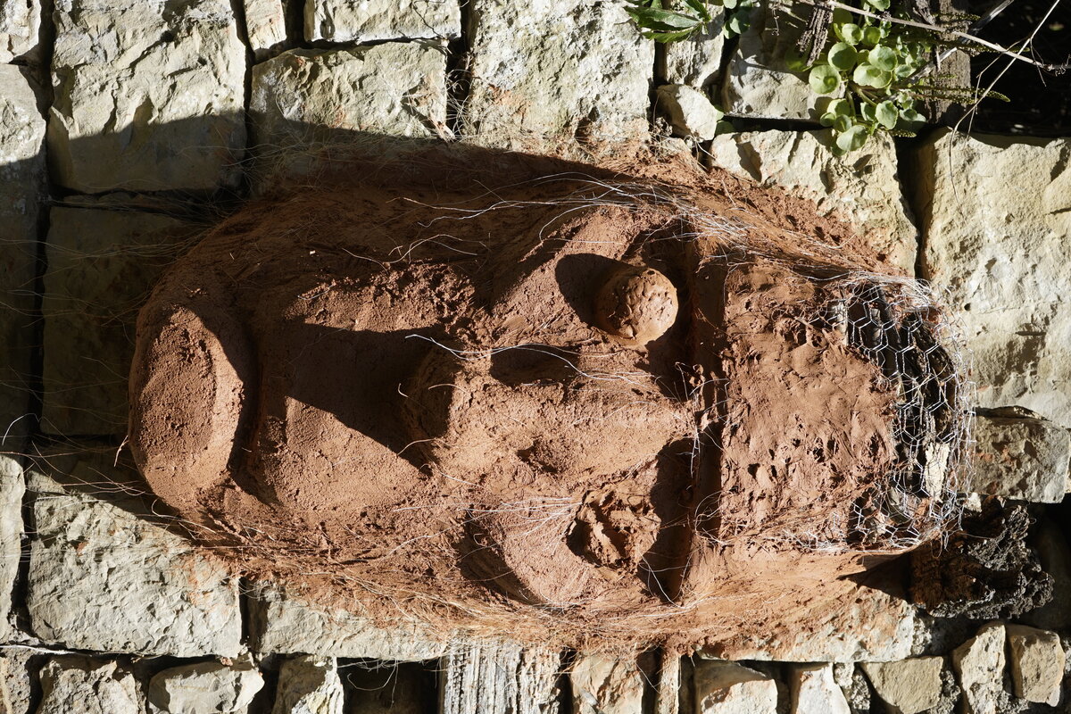 Semiostalgia P0013 — Sculpture fraîche, en terre crue, sable, filasse végétale, paille, grillage à poule, sur mur de pierre calcaire, Saint-Antonin-Noble-Val