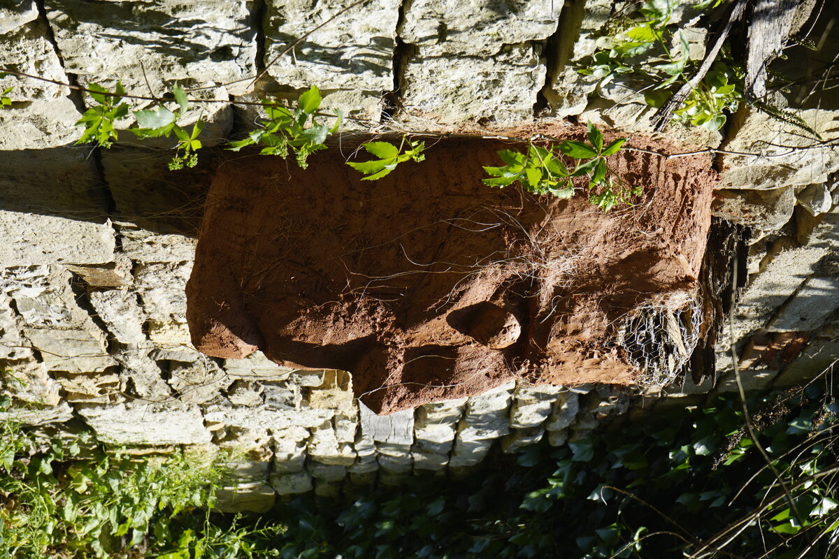 Semiostalgia P0013 — Sculpture fraîche, en terre crue, sable, filasse végétale, paille, grillage à poule, sur mur de pierre calcaire, Saint-Antonin-Noble-Val
