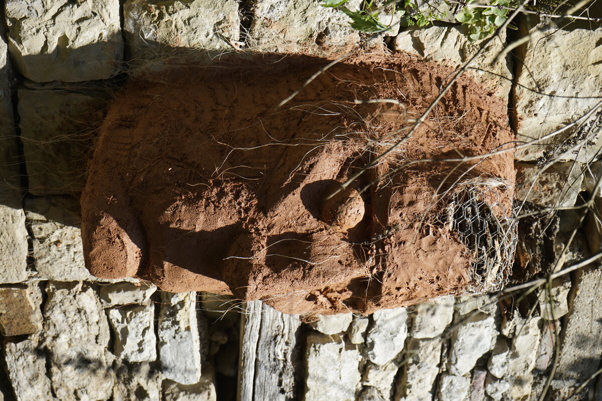 Semiostalgia P0013 — Sculpture fraîche, en terre crue, sable, filasse végétale, paille, grillage à poule, sur mur de pierre calcaire, Saint-Antonin-Noble-Val