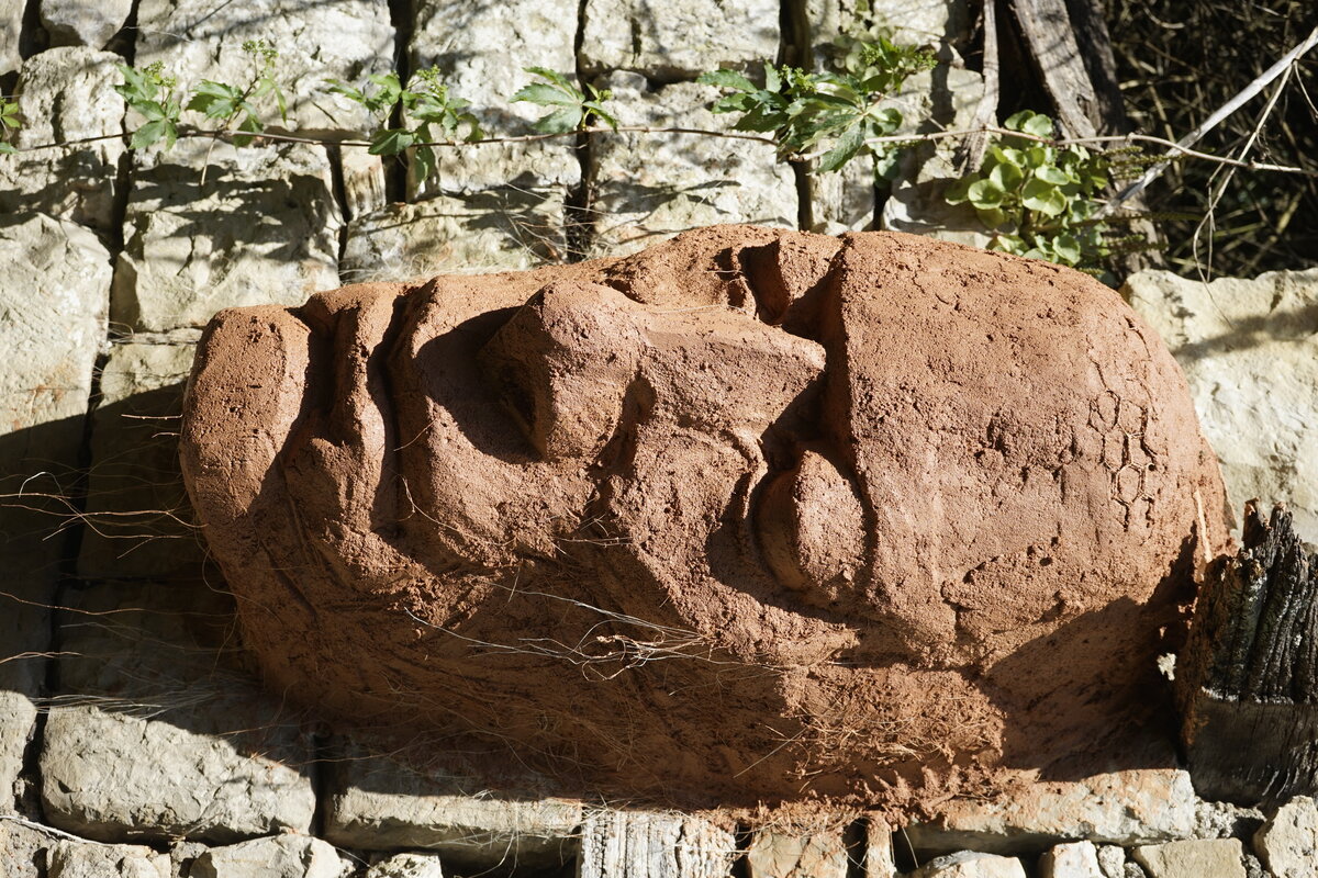 Semiostalgia P0013 — Sculpture fraîche, en terre crue, sable, filasse végétale, paille, grillage à poule, sur mur de pierre calcaire, Saint-Antonin-Noble-Val