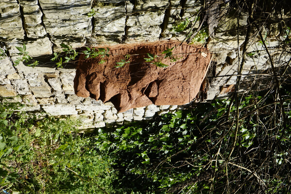 Semiostalgia P0013 — Sculpture fraîche, en terre crue, sable, filasse végétale, paille, grillage à poule, sur mur de pierre calcaire, Saint-Antonin-Noble-Val