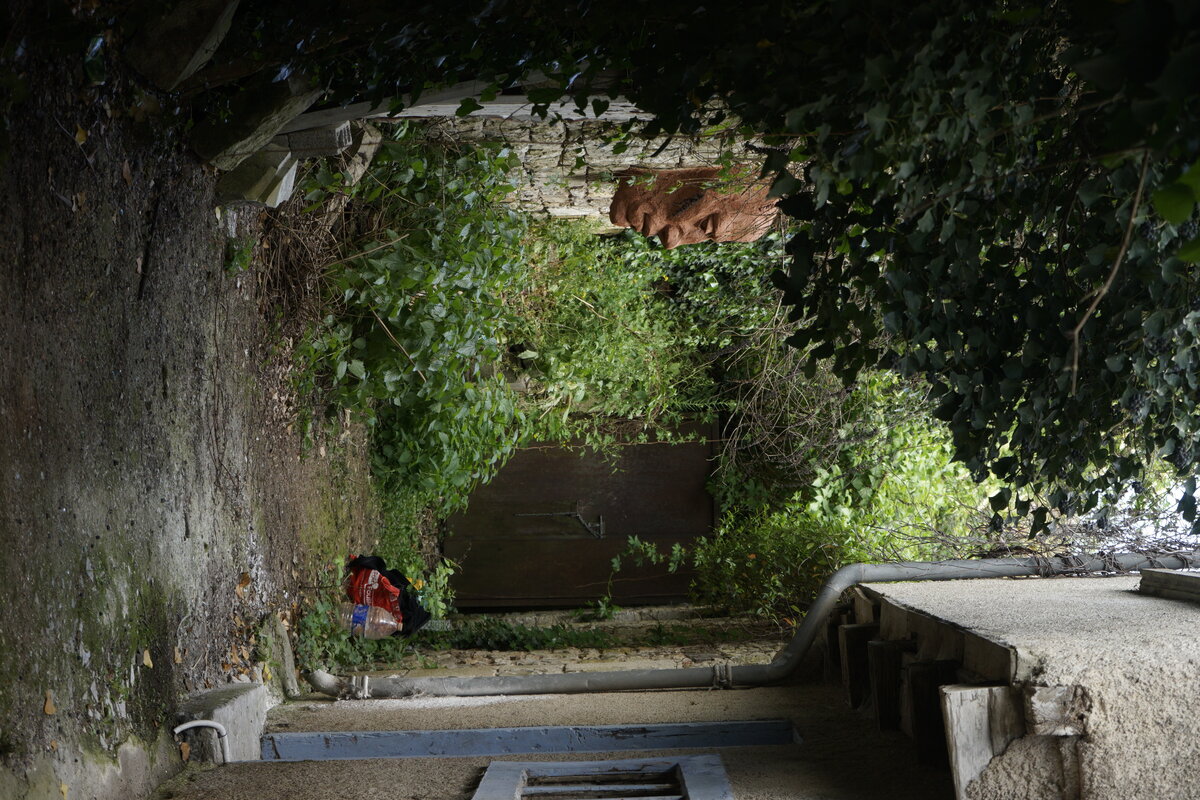 Semiostalgia P0013 — Sculpture fraîche, en terre crue, sable, filasse végétale, paille, grillage à poule, sur mur de pierre calcaire, Saint-Antonin-Noble-Val