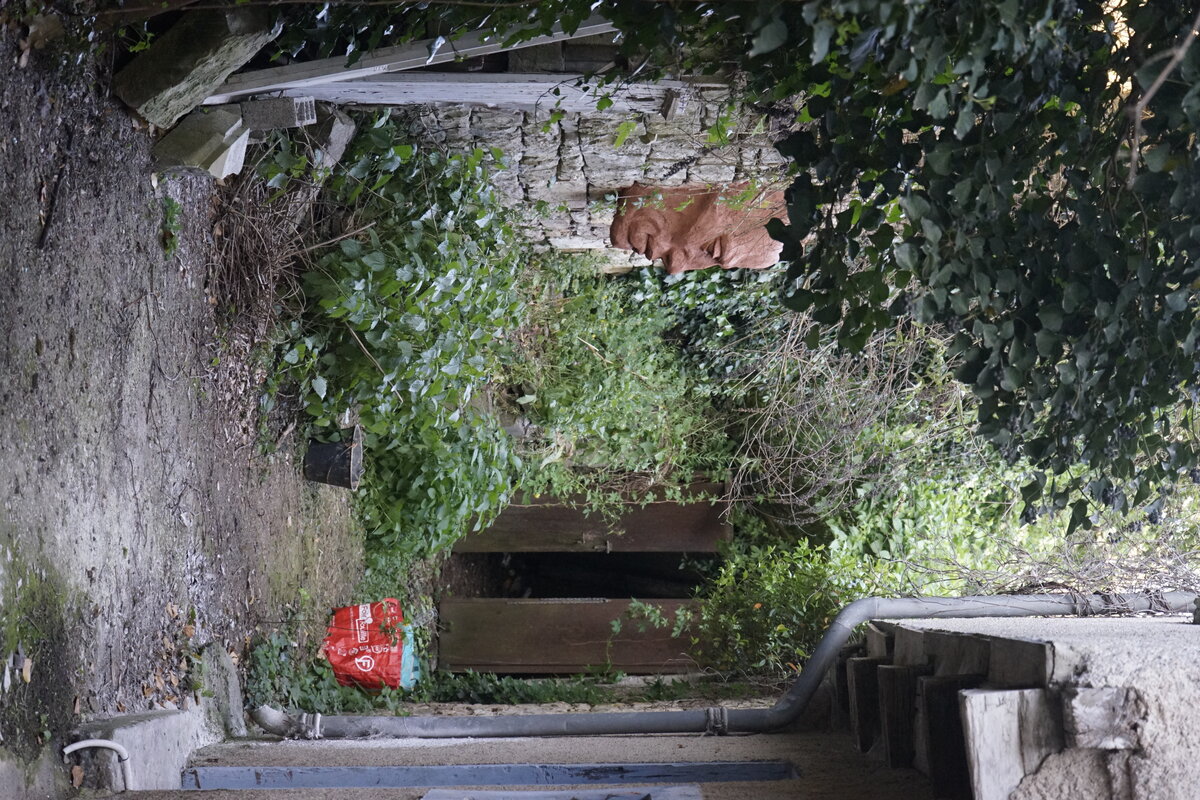 Semiostalgia P0013 — Sculpture fraîche, en terre crue, sable, filasse végétale, paille, grillage à poule, sur mur de pierre calcaire, Saint-Antonin-Noble-Val
