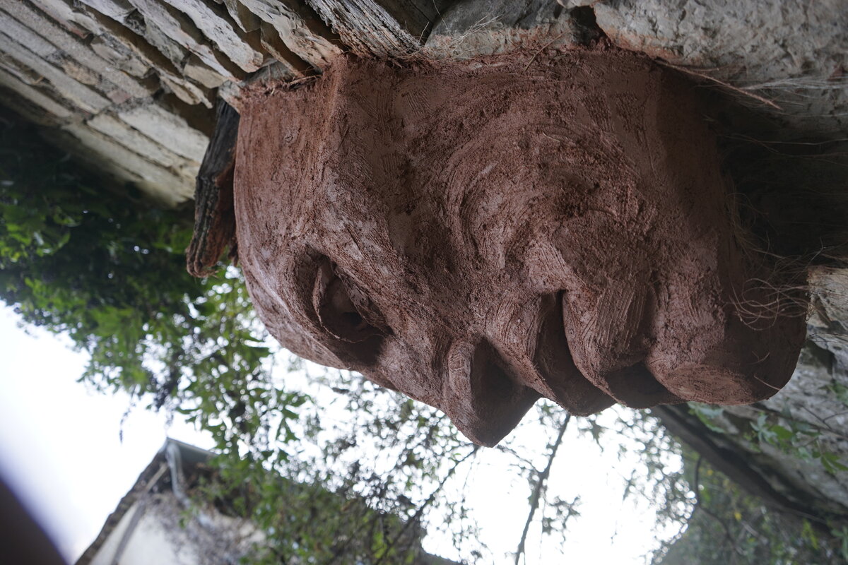 Semiostalgia P0013 — Sculpture fraîche, en terre crue, sable, filasse végétale, paille, grillage à poule, sur mur de pierre calcaire, Saint-Antonin-Noble-Val