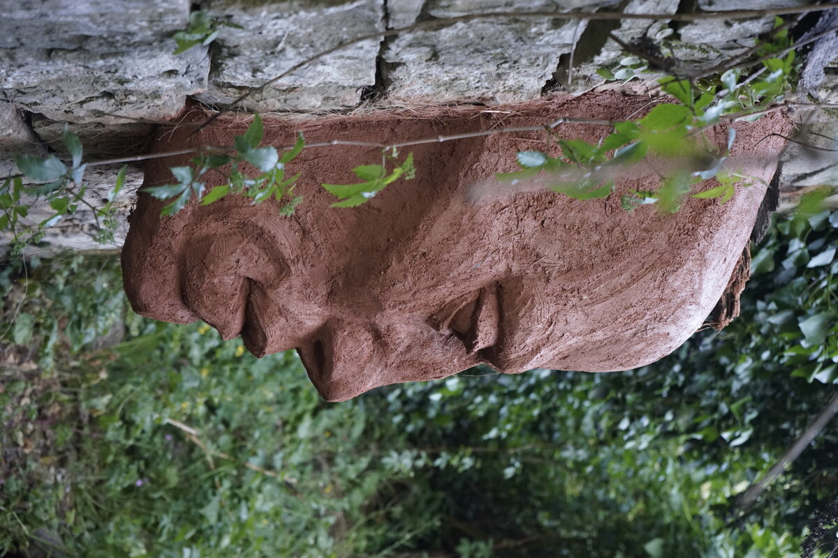 Semiostalgia P0013 — Sculpture fraîche, en terre crue, sable, filasse végétale, paille, grillage à poule, sur mur de pierre calcaire, Saint-Antonin-Noble-Val