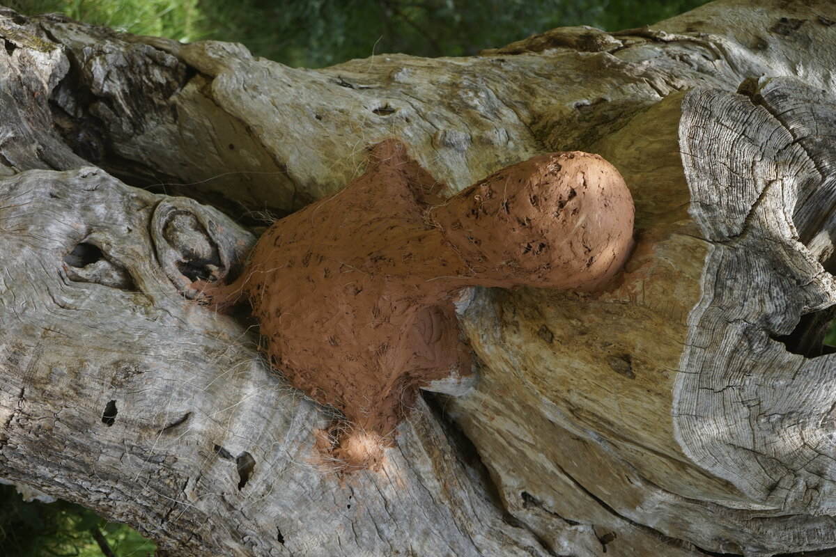 Semiostalgia P0014 — Sculpture fraîche, en terre crue, filasse végétale, grillage à poule, Saint-Antonin-Noble-Val