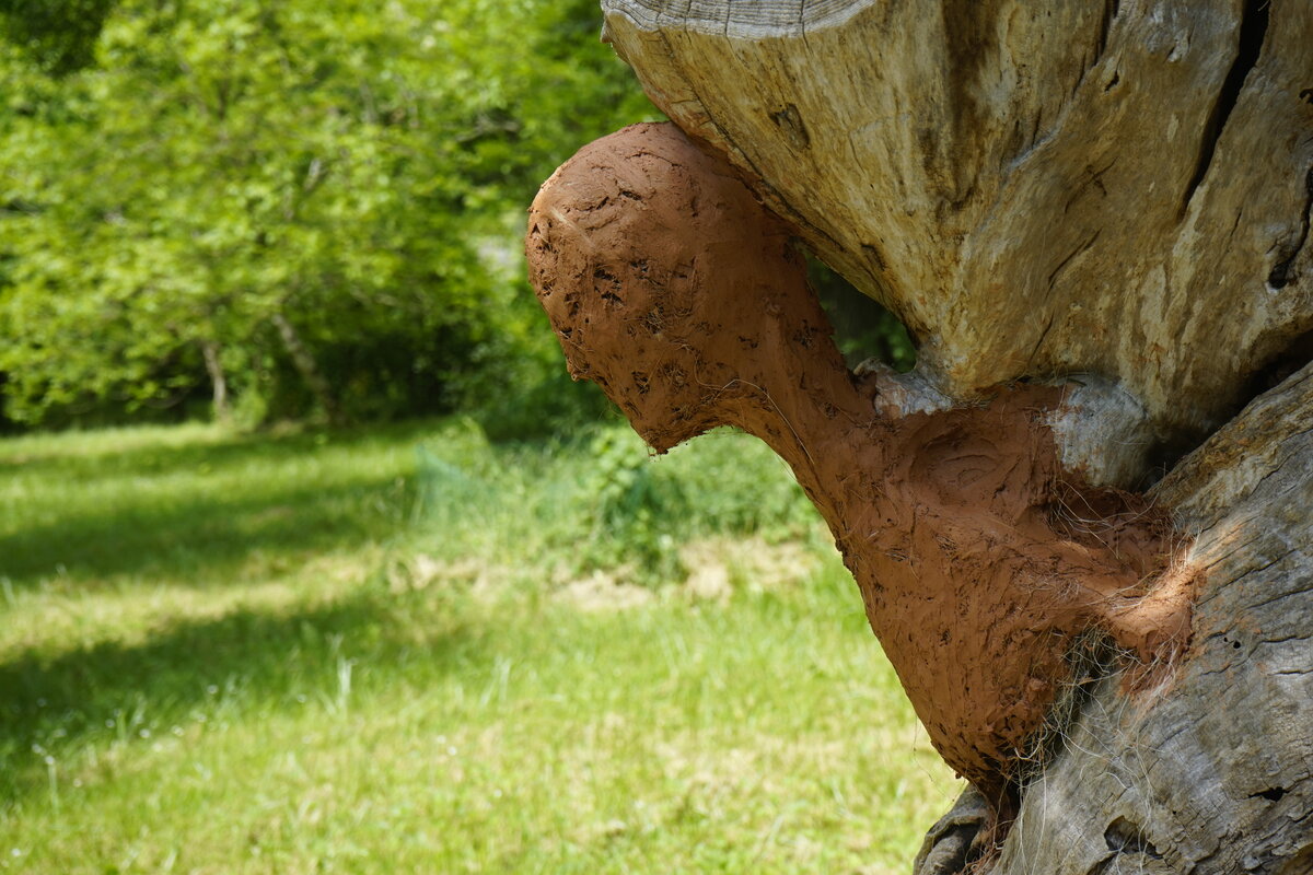 Semiostalgia P0014 — Sculpture fraîche, en terre crue, filasse végétale, grillage à poule, Saint-Antonin-Noble-Val