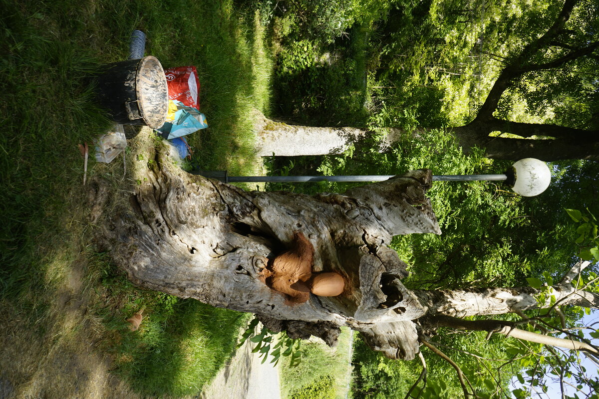 Semiostalgia P0014 — Sculpture fraîche, en terre crue, filasse végétale, grillage à poule, Saint-Antonin-Noble-Val