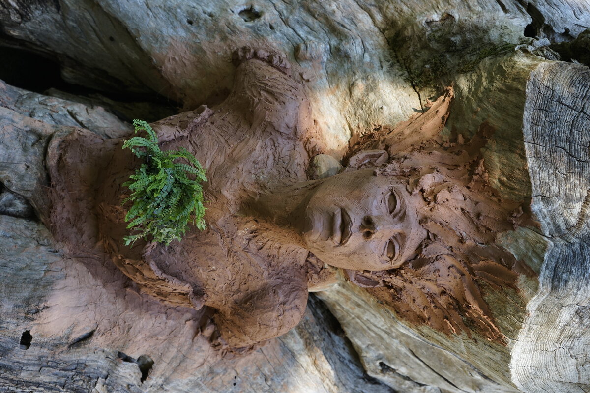 Semiostalgia P0014 — Sculpture fraîche, en terre crue, filasse végétale, grillage à poule, Saint-Antonin-Noble-Val