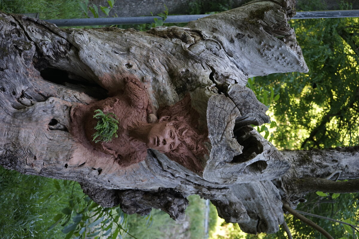 Semiostalgia P0014 — Sculpture en cours de séchage, en terre crue, filasse végétale, grillage à poule, Saint-Antonin-Noble-Val