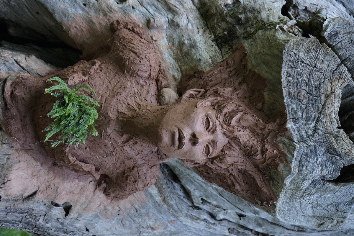 Semiostalgia P0014 — Sculpture en cours de séchage, en terre crue, filasse végétale, grillage à poule, Saint-Antonin-Noble-Val