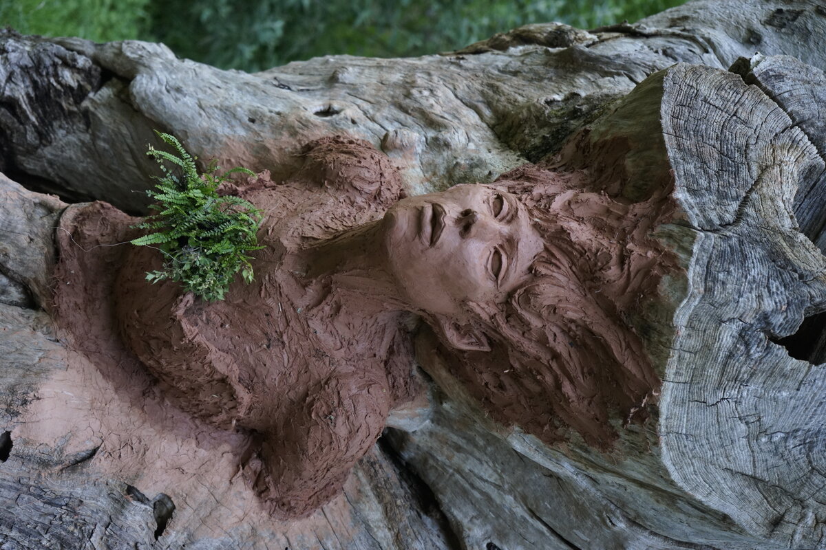 Semiostalgia P0014 — Sculpture en cours de séchage, en terre crue, filasse végétale, grillage à poule, Saint-Antonin-Noble-Val