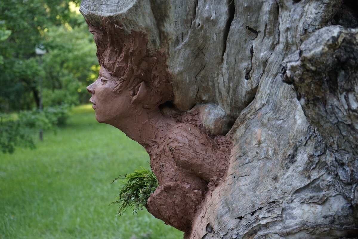 Semiostalgia P0014 — Sculpture en cours de séchage, en terre crue, filasse végétale, grillage à poule, Saint-Antonin-Noble-Val