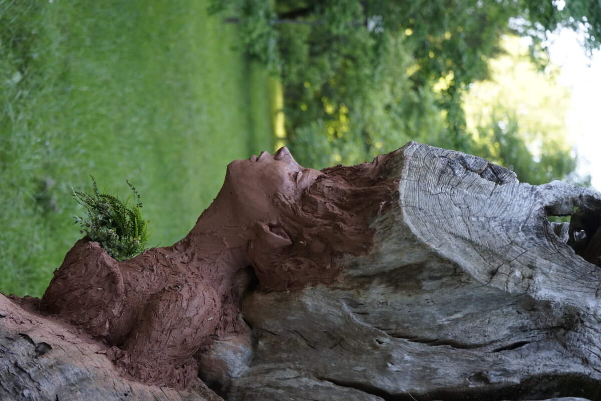 Semiostalgia P0014 — Sculpture en cours de séchage, en terre crue, filasse végétale, grillage à poule, Saint-Antonin-Noble-Val