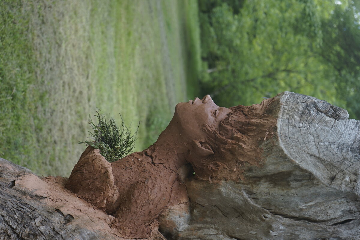 Semiostalgia P0014 — Sculpture en cours de séchage, en terre crue, filasse végétale, grillage à poule, Saint-Antonin-Noble-Val