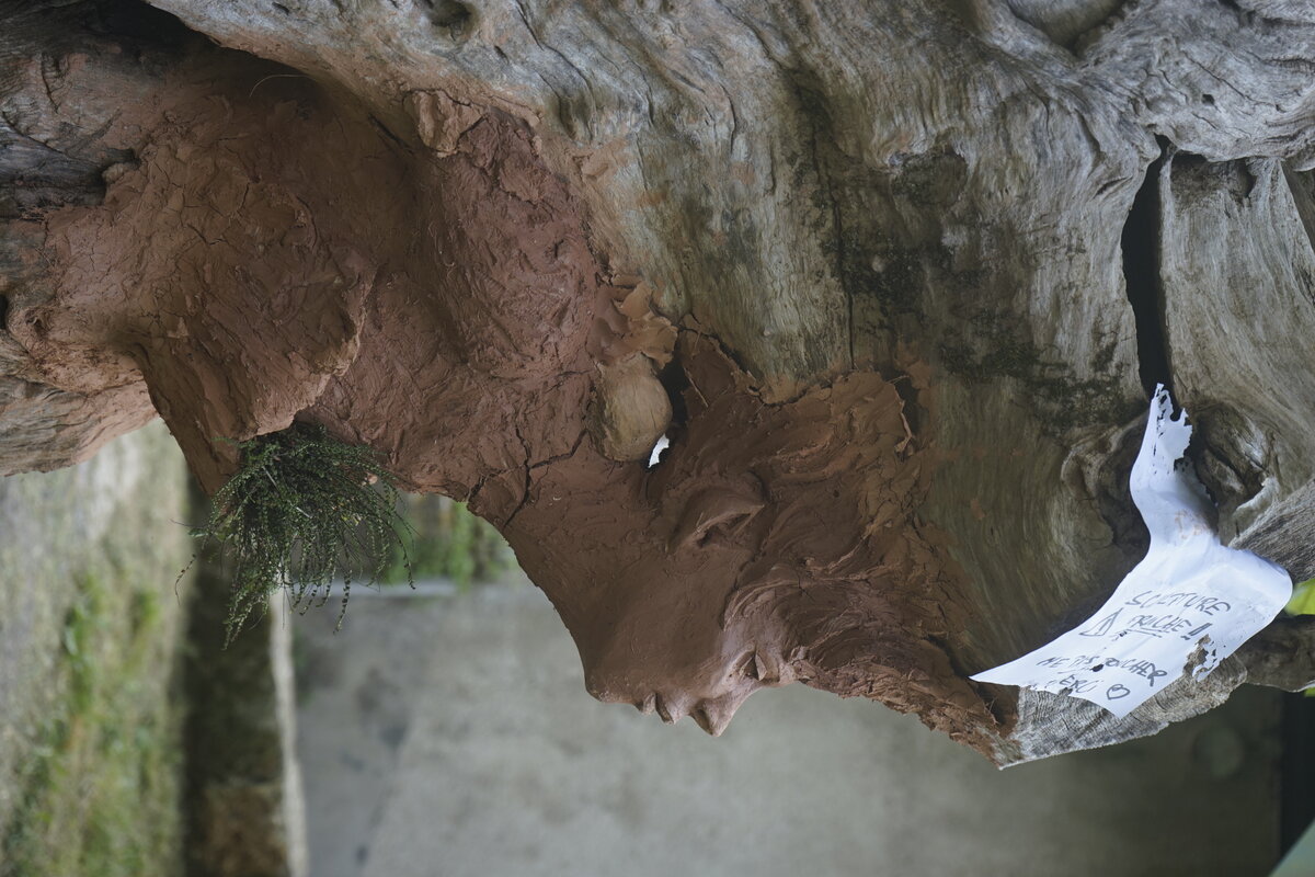 Semiostalgia P0014 — Sculpture en cours de séchage, en terre crue, filasse végétale, grillage à poule, Saint-Antonin-Noble-Val