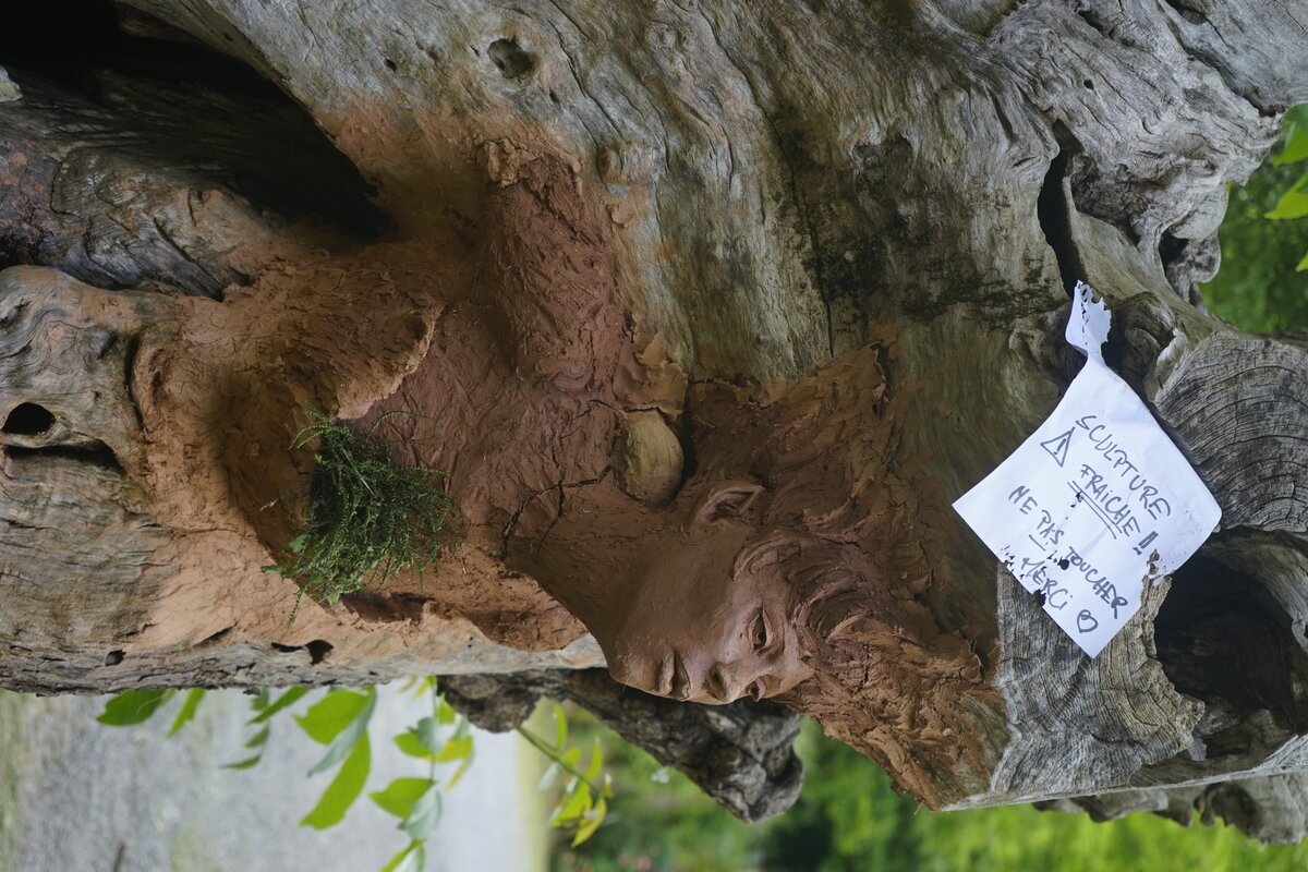 Semiostalgia P0014 — Sculpture en cours de séchage, en terre crue, filasse végétale, grillage à poule, Saint-Antonin-Noble-Val