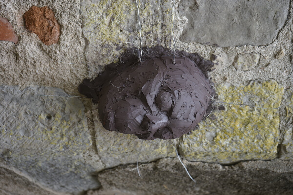 Semiostalgia P0015 — Sculpture fraîche, en terre crue, filasse végétale, grillage à poule, Saint-Antonin-Noble-Val