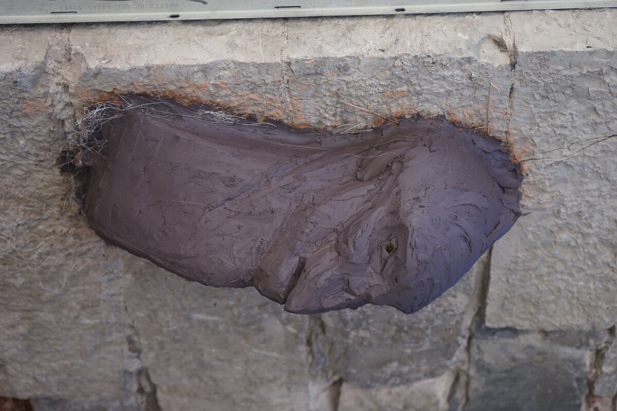 Semiostalgia P0016 — Sculpture fraîche, en terre crue, filasse végétale, grillage à poule, Saint-Antonin-Noble-Val