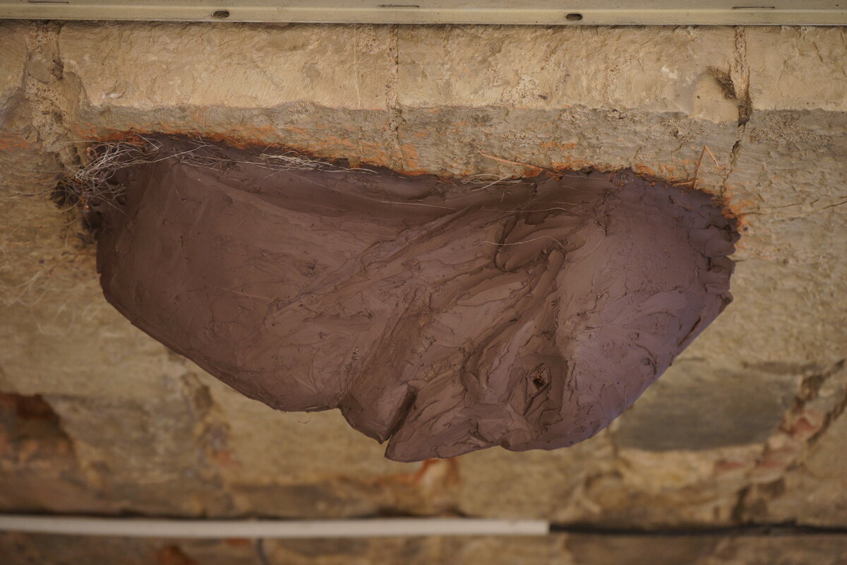 Semiostalgia P0016 — Sculpture fraîche, en terre crue, filasse végétale, grillage à poule, Saint-Antonin-Noble-Val