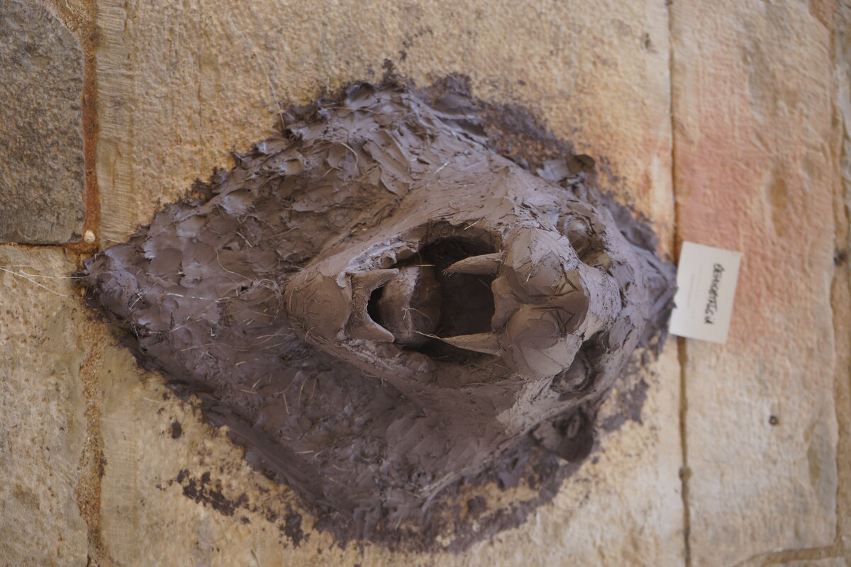 Semiostalgia P0017 — Sculpture fraîche, en terre crue, filasse végétale, grillage à poule, Saint-Antonin-Noble-Val