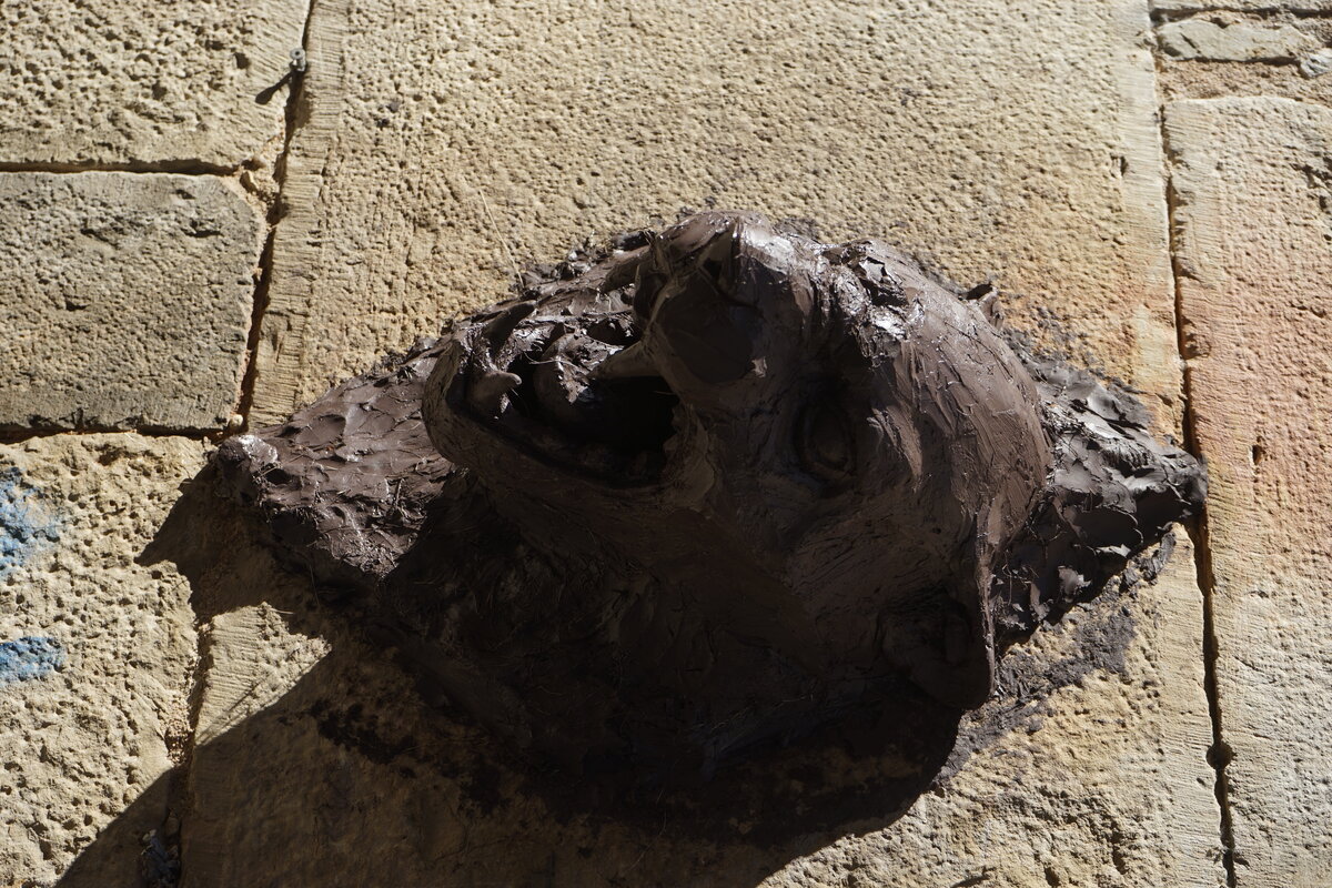 Semiostalgia P0017 — Sculpture fraîche, en terre crue, filasse végétale, grillage à poule, Saint-Antonin-Noble-Val