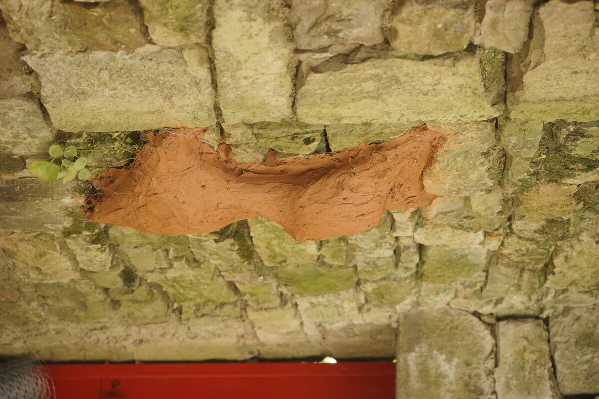 Semiostalgia P0019 — Sculpture fraîche, en terre crue, filasse végétale, grillage à poule, Saint-Antonin-Noble-Val
