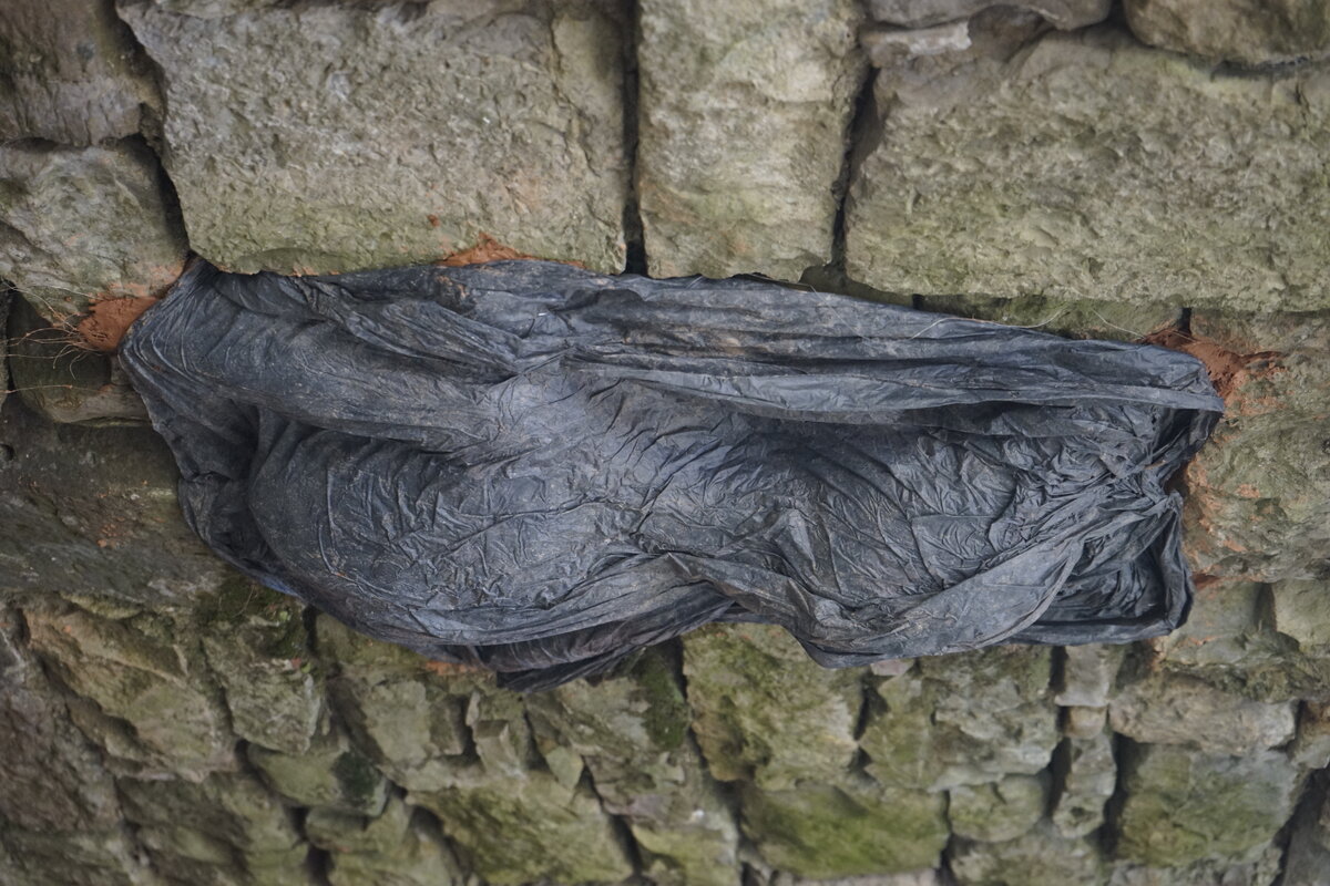 Semiostalgia P0019 — Sculpture fraîche, en terre crue, filasse végétale, grillage à poule, Saint-Antonin-Noble-Val