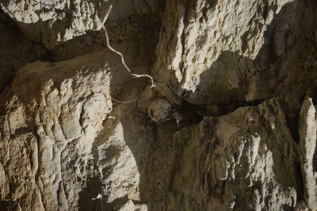 Semiostalgia T01 — Tombeau en décrochage, en acier noir 5mm, baguettes de soudure rutile, fonte de récupération, Saint-Antonin-Noble-Val