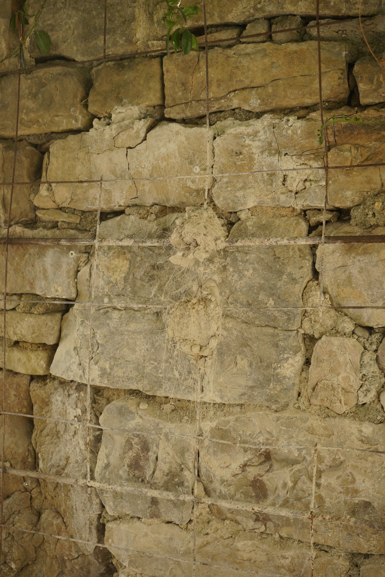 Retrait des sculptures Semiostalgia — documentation photographique, juillet 2026